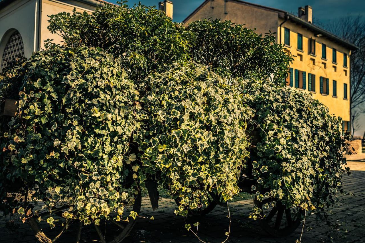 Cessalto Le Vigne Morosinaヴィラ エクステリア 写真