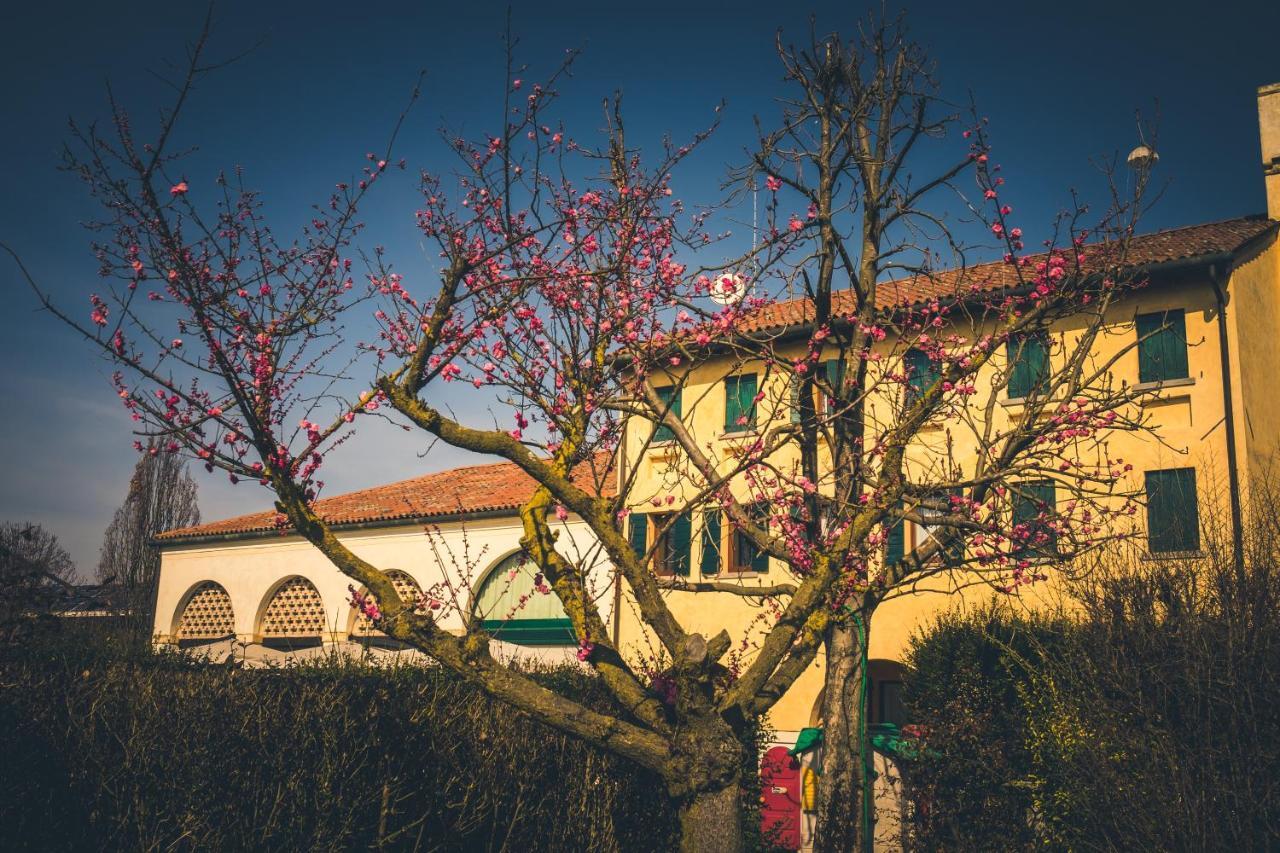 Cessalto Le Vigne Morosinaヴィラ エクステリア 写真